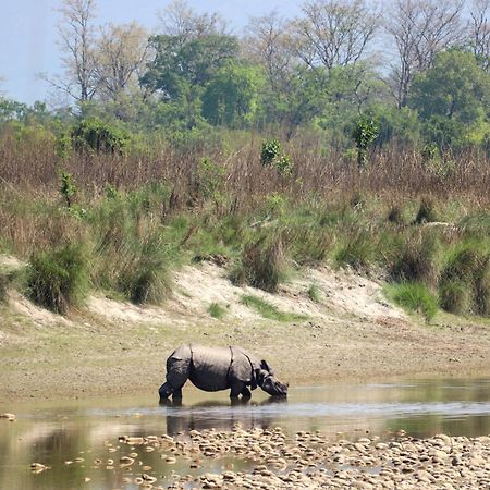 Forest Hideaway Resort Pvt Ltd Bardiya Ngoại thất bức ảnh