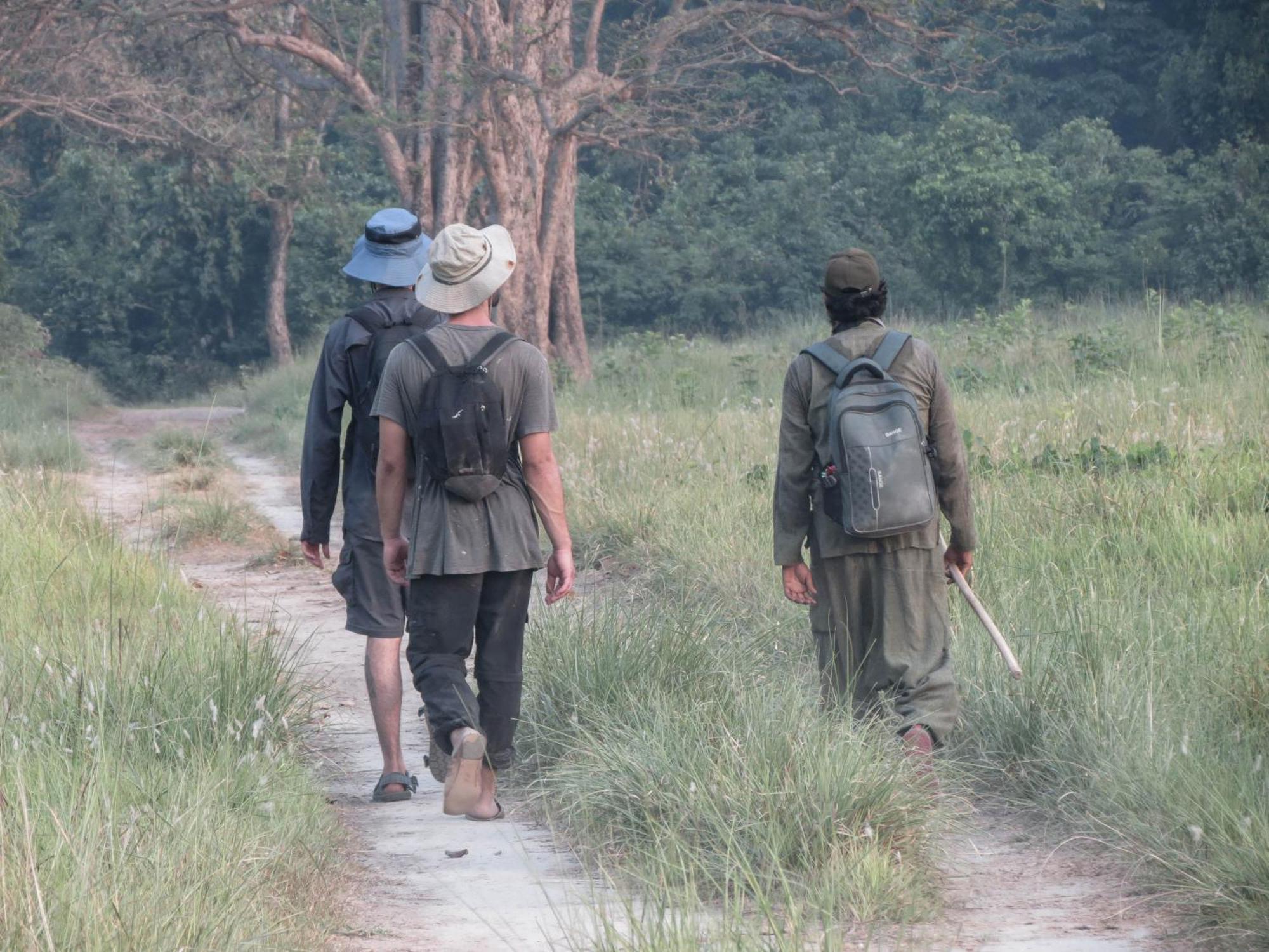 Forest Hideaway Resort Pvt Ltd Bardiya Ngoại thất bức ảnh