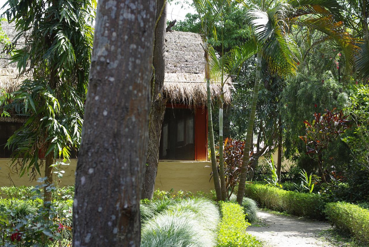Forest Hideaway Resort Pvt Ltd Bardiya Ngoại thất bức ảnh