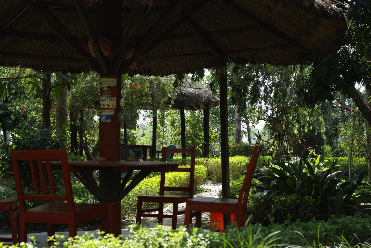 Forest Hideaway Resort Pvt Ltd Bardiya Ngoại thất bức ảnh